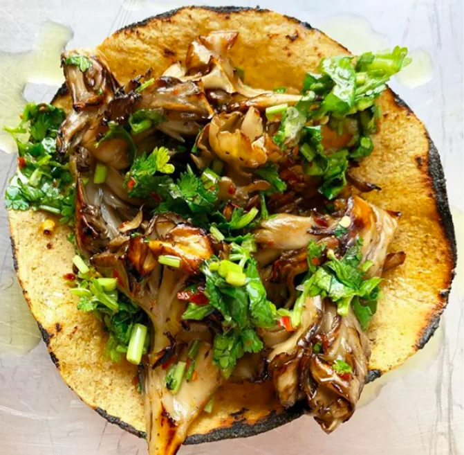 Corn tortilla filled with browned maitake mushroom clusters and chopped cilantro herb dressing