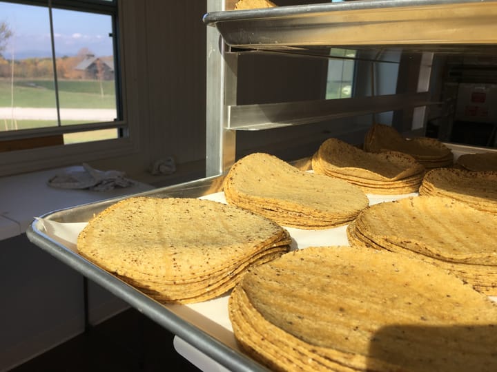 The art of making organic corn tortillas