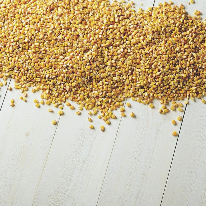 Vermont Tortilla Company Customer Feedback