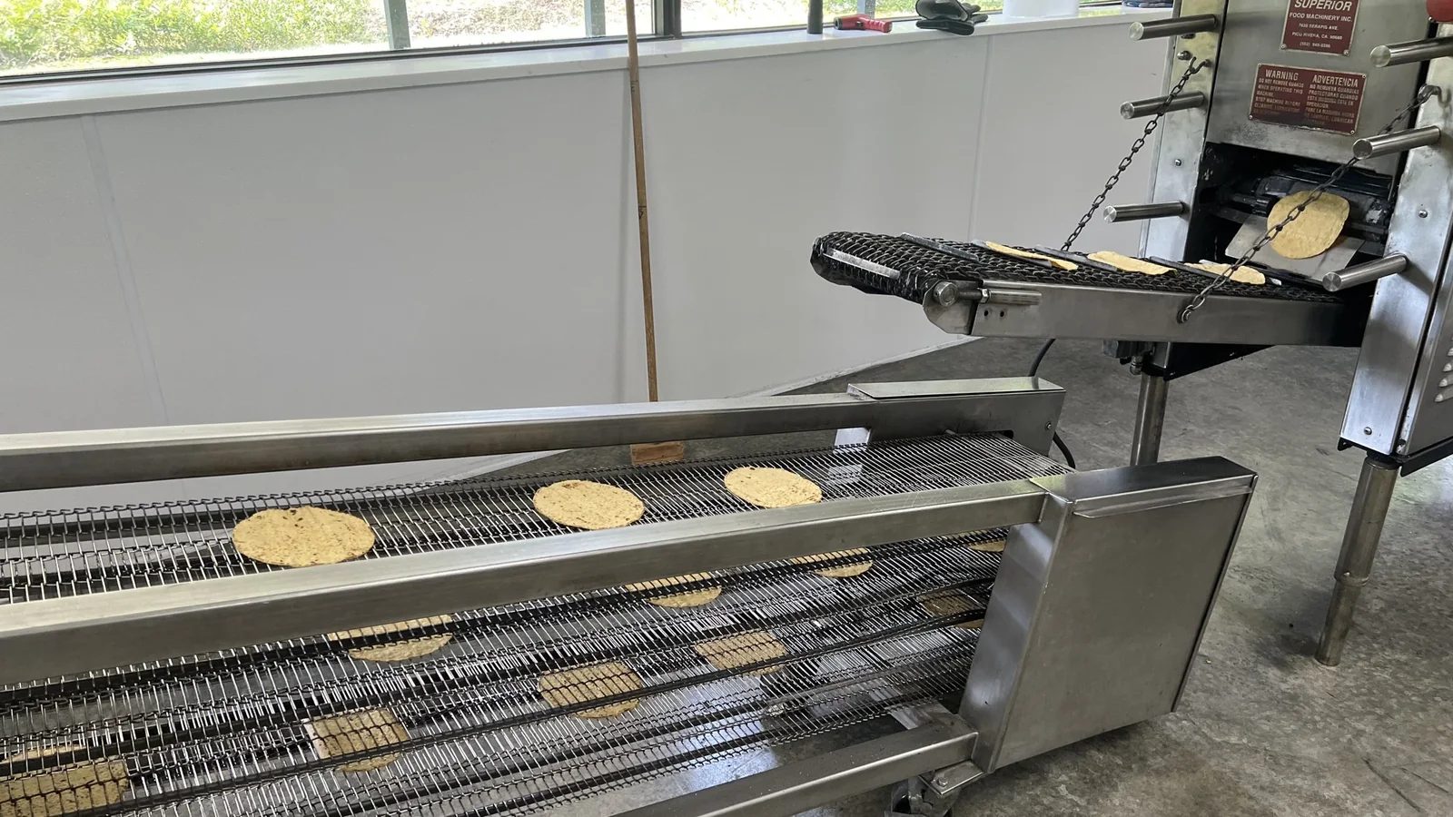 Corn tortillas moving along metal conveyors on Vermont Tortilla Company’s production line.